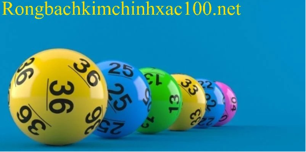 Các nguyên tắc cần chú ý khi thực hiện nuôi khung 247