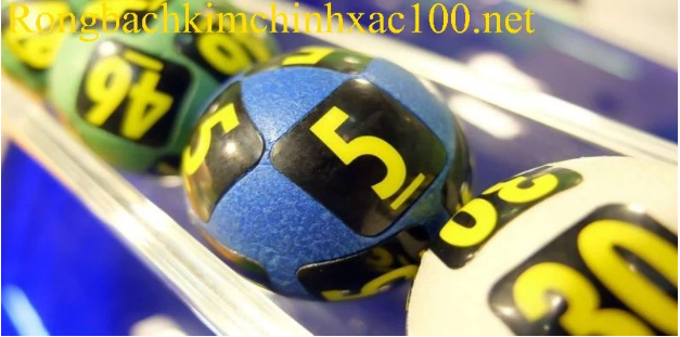 Khái quát về phương pháp nuôi đề khung 247