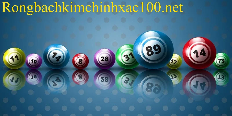 Xu hướng mô hình Rồng Bạch Kim trong năm 2026