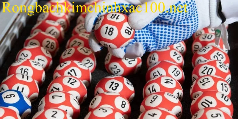 Kinh nghiệm nuôi lô hiệu quả cao theo khung 3 ngày