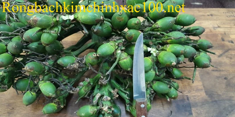 Giải mã bí ẩn đằng sau giấc chiêm bao về buồng cau