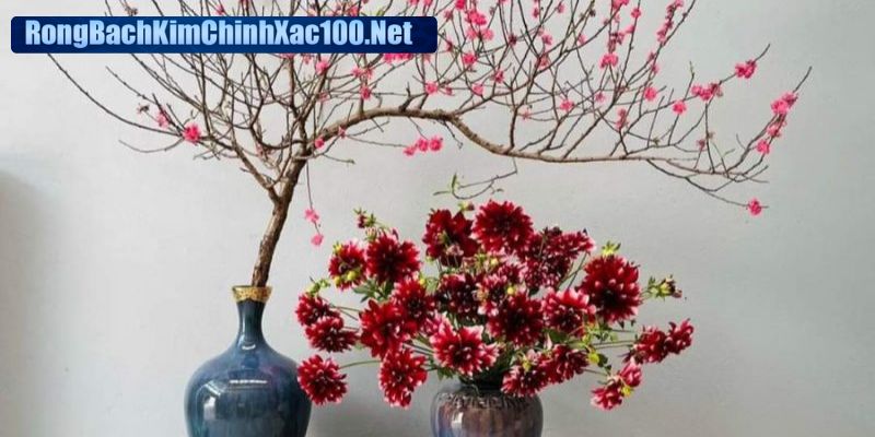 Chiêm bao cái bình thường phản ánh sự tích lũy