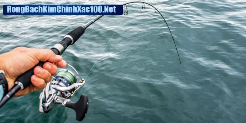Chiêm bao thấy cần câu gợi mở ý nghĩa về sự kiên trì