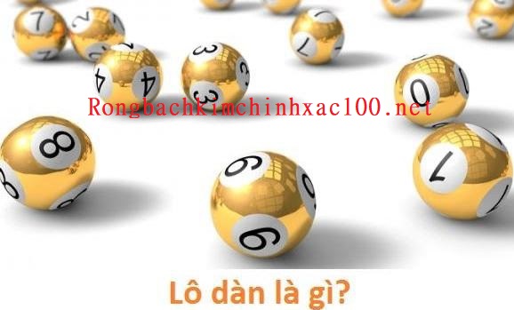 Lô dàn là gì? Tìm hiểu chi tiết về dàn lô miền Bắc